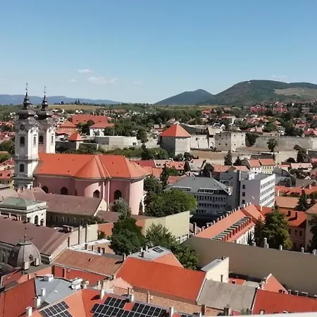 Apartament Cehmesterek *